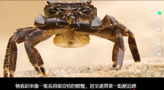 挽救计划5.png 挽救计划5.png