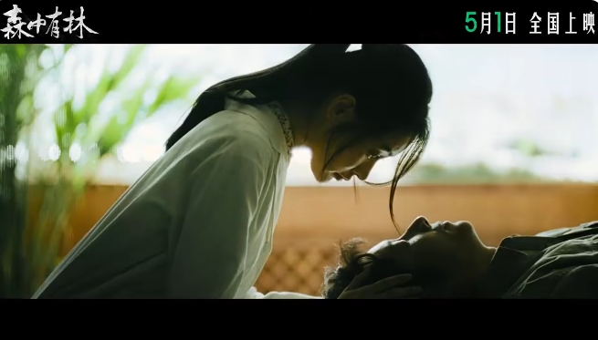 森中有林-4.png 森中有林-4.png