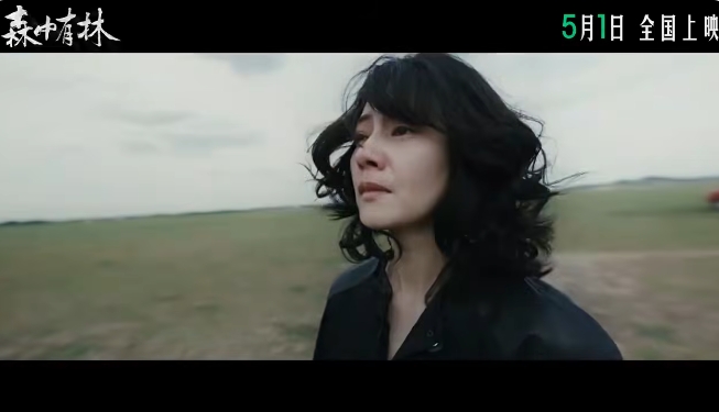 森中有林-1.png 森中有林-1.png